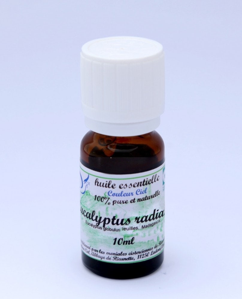 eucalyptus-radiata-huile-essentielle-bio