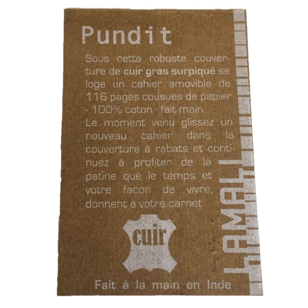 Carte Pundit
